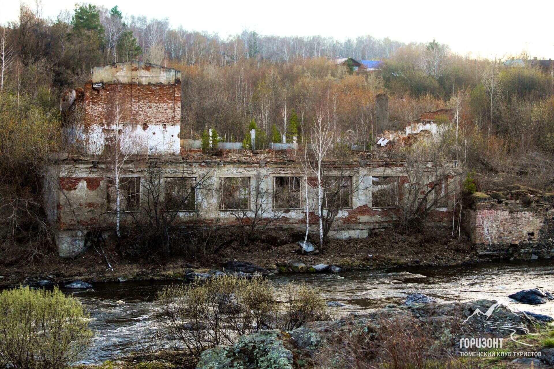 Руины картонной фабрики
