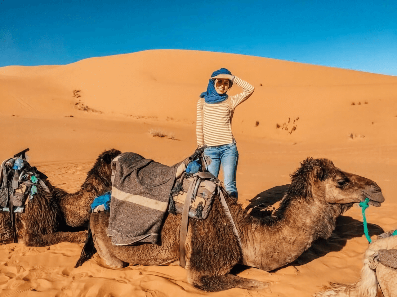 Пустыня Кызыл-Кум. Экскурсия на верблюдах.