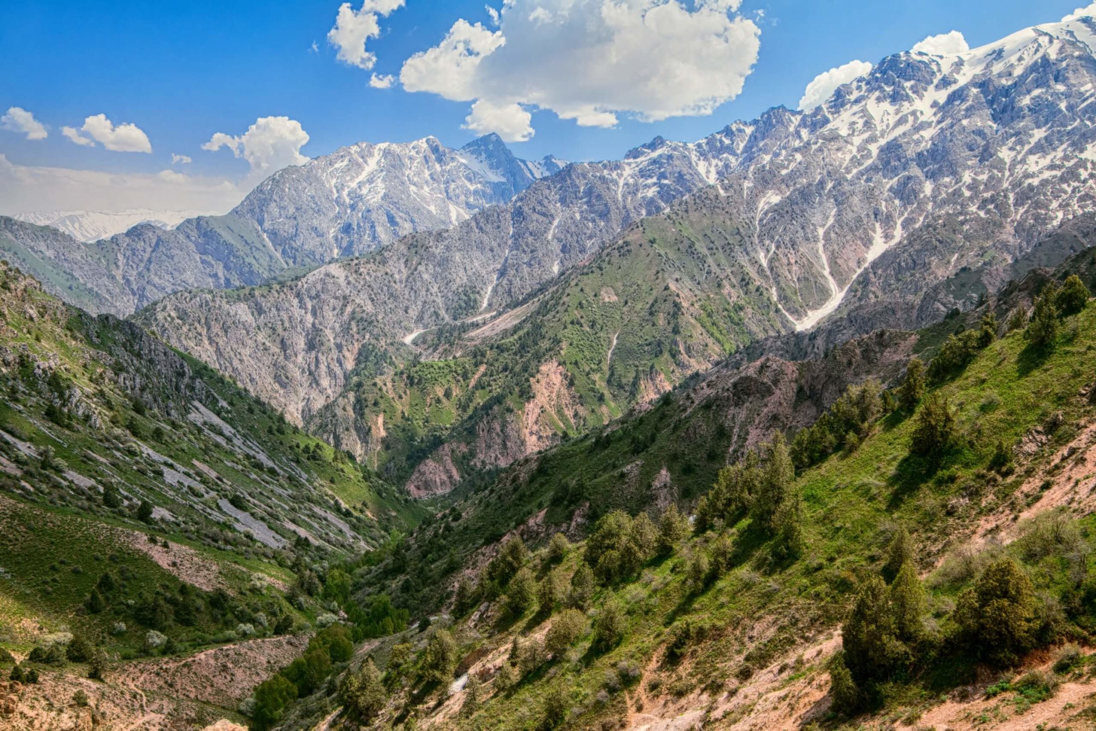 Тянь-Шань, Узбекистан